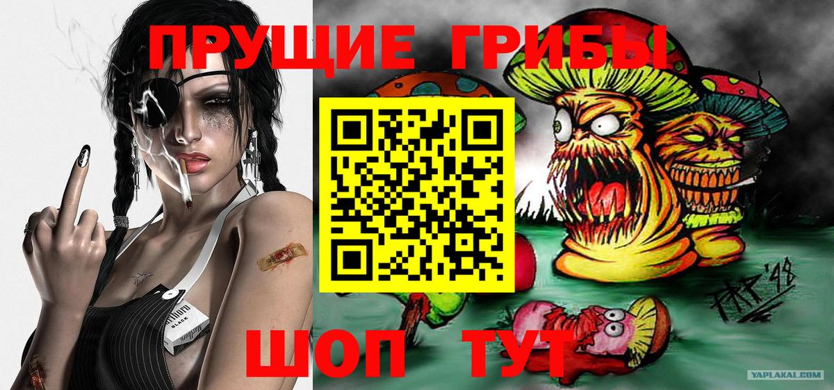 Псилоцибиновые грибы Psilocybe  Вход с VPN  закладка  Псилоцибиновые грибы Cubensis  Северобайкальск 