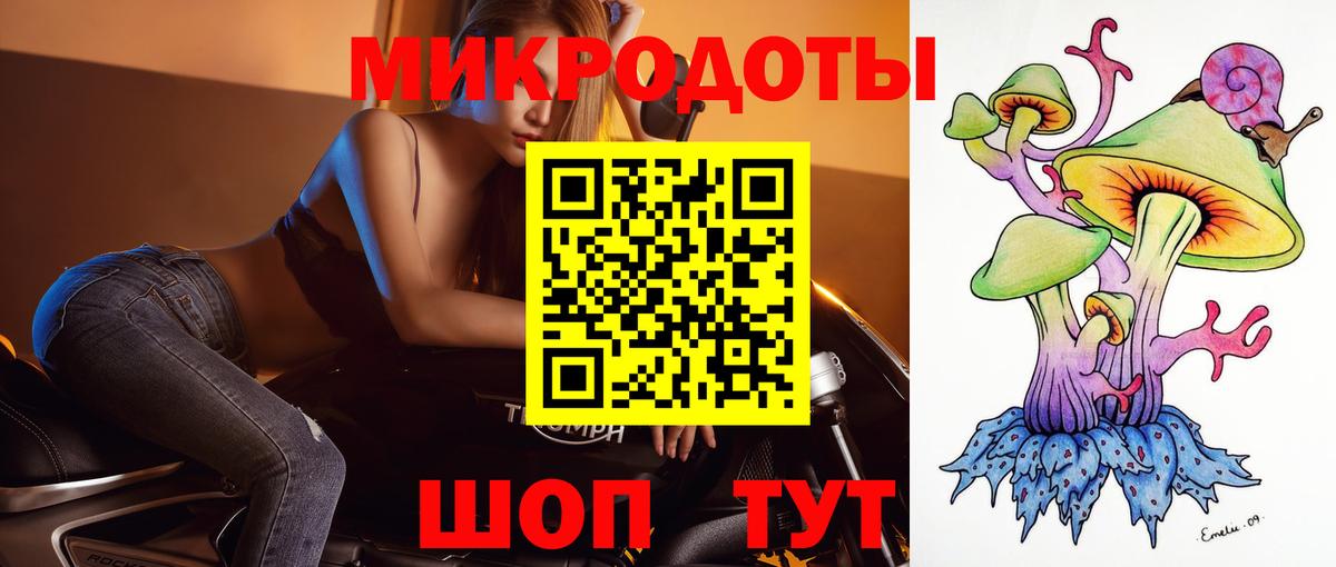 Галлюциногенные грибы Psilocybe Северобайкальск